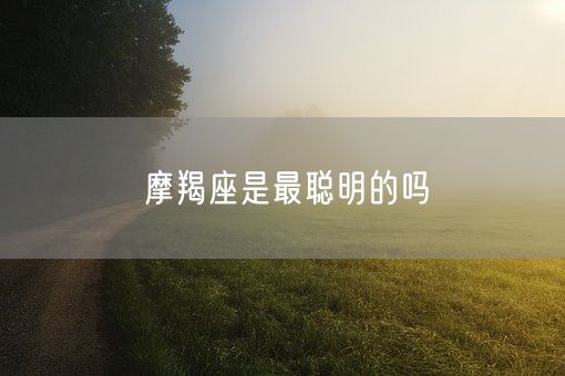 摩羯座是最聪明的吗(图1)