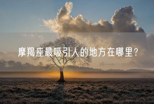 摩羯座最吸引人的地方在哪里？(图1)