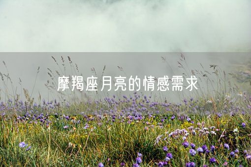 摩羯座月亮的情感需求(图1)