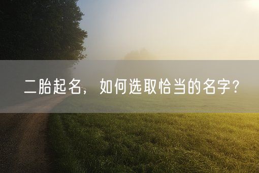 二胎起名，如何选取恰当的名字？(图1)
