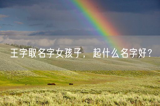 王字取名字女孩子，起什么名字好？(图1)