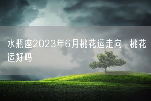 水瓶座2023年6月桃花运走向  桃花运好吗(图1) 水瓶座2023年6月桃花运走向  桃花运好吗(图1)
