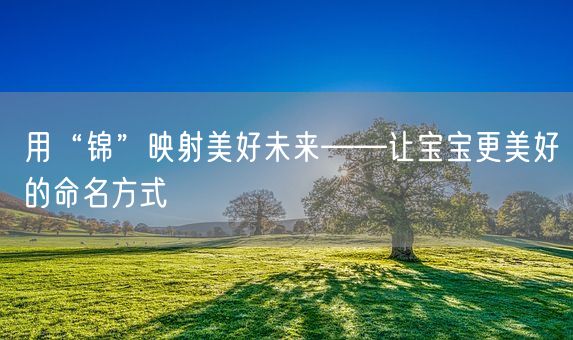 用“锦”映射美好未来——让宝宝更美好的命名方式(图1)