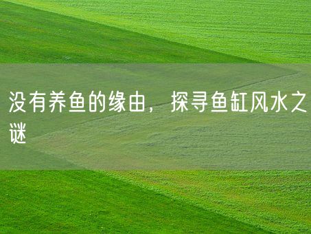 没有养鱼的缘由,探寻鱼缸风水之谜(图1) 没有养鱼的缘由,探寻鱼缸风水之谜(图1)