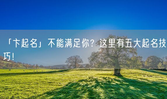「卞起名」不能满足你？这里有五大起名技巧！(图1)