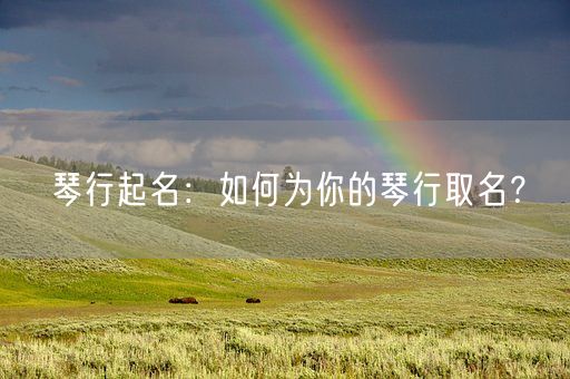 琴行起名：如何为你的琴行取名？(图1)