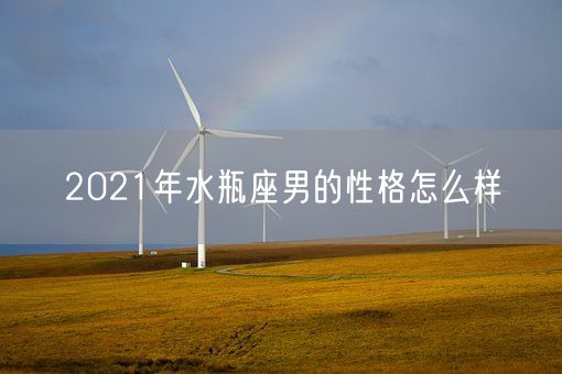 2021年水瓶座男的性格怎么样(图1) 2021年水瓶座男的性格怎么样(图1)