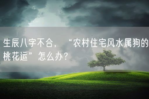 生辰八字不合，“农村住宅风水属狗的桃花运”怎么办？(图1)