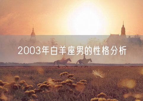 2003年白羊座男的性格分析(图1)