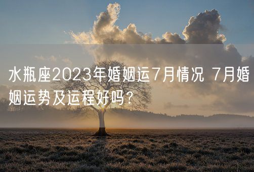 水瓶座2023年婚姻运7月情况 7月婚姻运势及运程好吗？(图1)