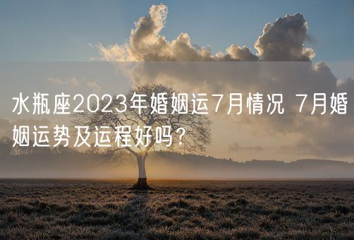 水瓶座2023年婚姻运7月情况 7月婚姻运势及运程好吗？(图1)