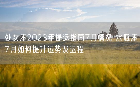 处女座2023年提运指南7月情况 水瓶座7月如何提升运势及运程(图1) 处女座2023年提运指南7月情况 水瓶座7月如何提升运势及运程(图1)