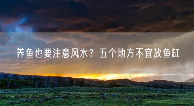 养鱼也要注意风水？五个地方不宜放鱼缸(图1)