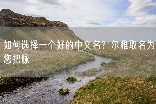 如何选择一个好的中文名？尔雅取名为您把脉(图1)