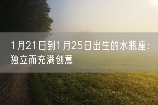 1月21日到1月25日出生的水瓶座：独立而充满创意(图1)