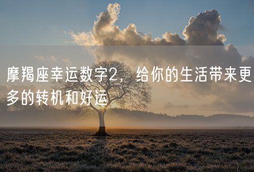 摩羯座幸运数字2，给你的生活带来更多的转机和好运(图1)