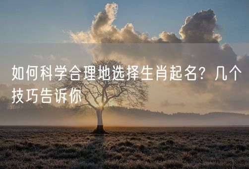 如何科学合理地选择生肖起名？几个技巧告诉你(图1)
