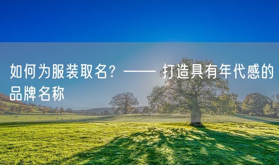 如何为服装取名？—— 打造具有年代感的品牌名称(图1)