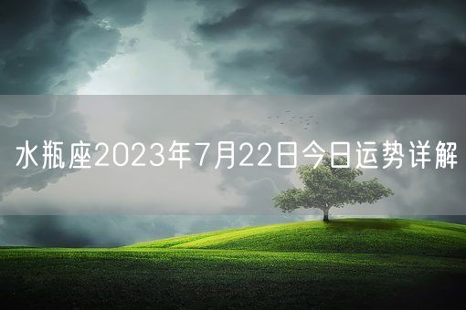 水瓶座2023年7月22日今日运势详解(图1) 水瓶座2023年7月22日今日运势详解(图1)