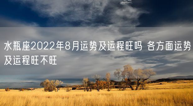 水瓶座2022年8月运势及运程旺吗 各方面运势及运程旺不旺(图1)