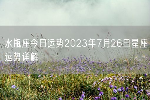 水瓶座今日运势2023年7月26日星座运势详解(图1) 水瓶座今日运势2023年7月26日星座运势详解(图1)