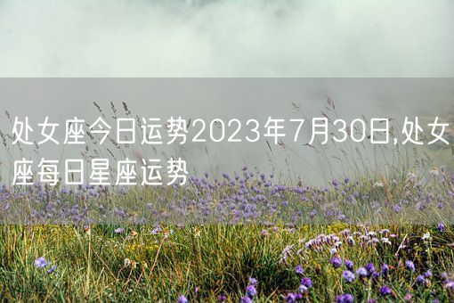 处女座今日运势2023年7月30日,处女座每日星座运势(图1) 处女座今日运势2023年7月30日,处女座每日星座运势(图1)