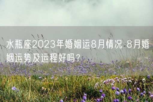 水瓶座2023年婚姻运8月情况 8月婚姻运势及运程好吗?(图1) 水瓶座2023年婚姻运8月情况 8月婚姻运势及运程好吗?(图1)