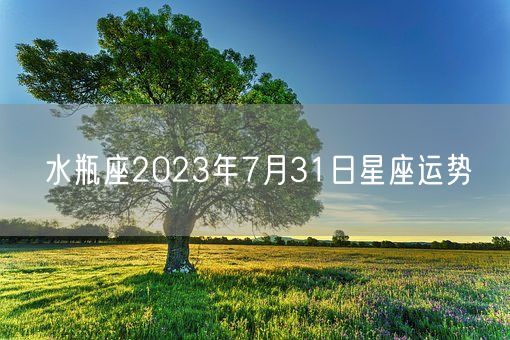 水瓶座2023年7月31日星座运势(图1)