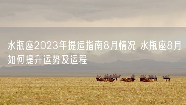 水瓶座2023年提运指南8月情况 水瓶座8月如何提升运势及运程(图1) 水瓶座2023年提运指南8月情况 水瓶座8月如何提升运势及运程(图1)