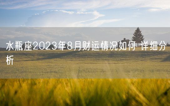 水瓶座2023年8月财运情况如何 详细分析(图1) 水瓶座2023年8月财运情况如何 详细分析(图1)