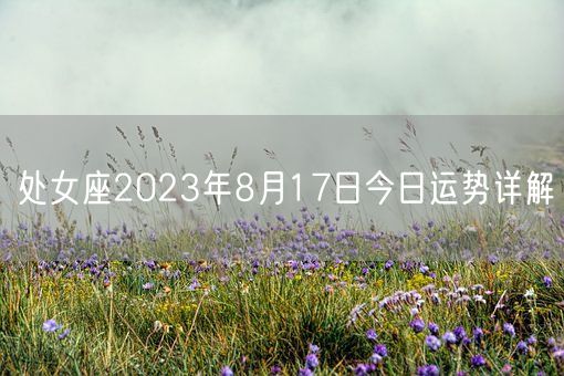 处女座2023年8月17日今日运势详解(图1)