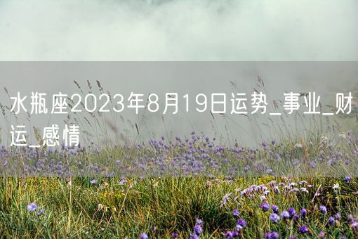 水瓶座2023年8月19日运势_事业_财运_感情(图1)