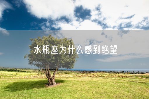 水瓶座为什么感到绝望(图1)