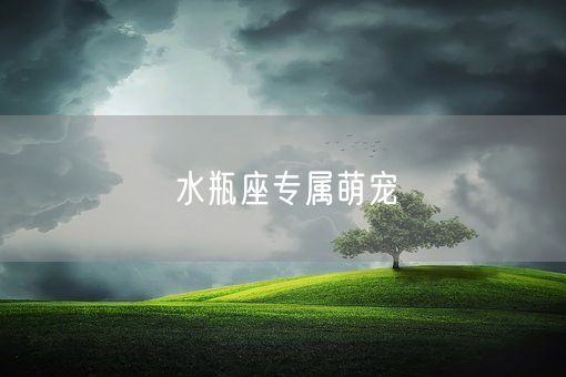 水瓶座专属萌宠(图1) 水瓶座专属萌宠(图1)