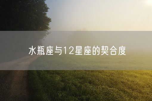 水瓶座与12星座的契合度(图1) 水瓶座与12星座的契合度(图1)