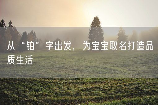 从“铂”字出发，为宝宝取名打造品质生活(图1)