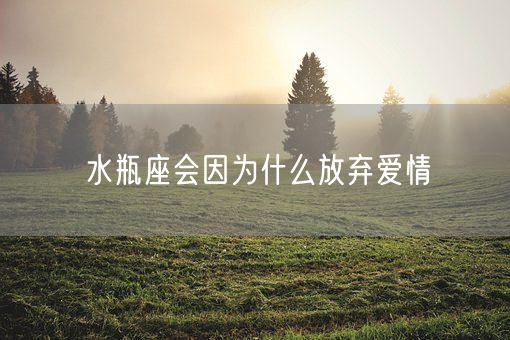 水瓶座会因为什么放弃爱情(图1) 水瓶座会因为什么放弃爱情(图1)