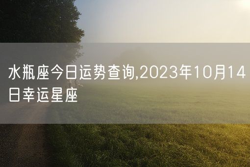 水瓶座今日运势查询,2023年10月14日幸运星座(图1) 水瓶座今日运势查询,2023年10月14日幸运星座(图1)