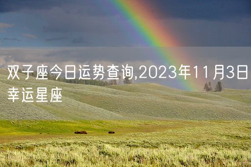 双子座今日运势查询,2023年11月3日幸运星座(图1)