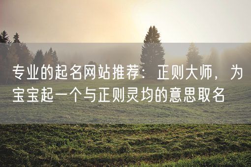 专业的起名网站推荐:正则大师,为宝宝起一个与正则灵均的意思取名(图1) 专业的起名网站推荐:正则大师,为宝宝起一个与正则灵均的意思取名(图1)