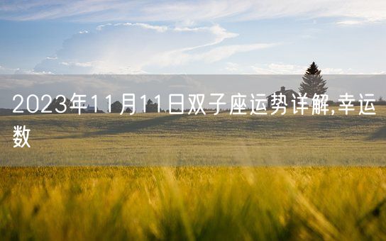 2023年11月11日双子座运势详解,幸运数(图1)
