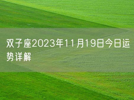 双子座2023年11月19日今日运势详解(图1) 双子座2023年11月19日今日运势详解(图1)
