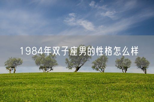 1984年双子座男的性格怎么样(图1) 1984年双子座男的性格怎么样(图1)
