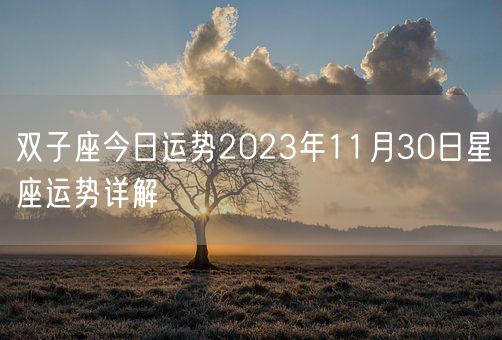 双子座今日运势2023年11月30日星座运势详解(图1) 双子座今日运势2023年11月30日星座运势详解(图1)