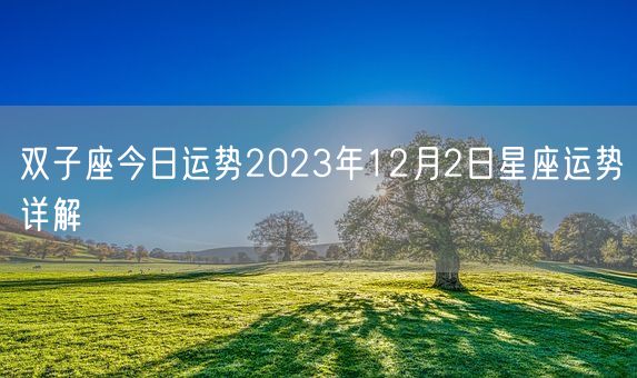 双子座今日运势2023年12月2日星座运势详解(图1) 双子座今日运势2023年12月2日星座运势详解(图1)