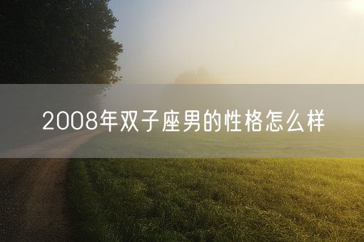 2008年双子座男的性格怎么样(图1)