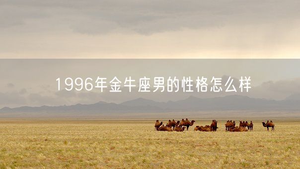 1996年金牛座男的性格怎么样(图1)
