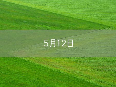 5月12日(图1)