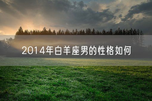 2014年白羊座男的性格如何(图1) 2014年白羊座男的性格如何(图1)