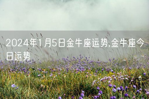 2024年1月5日金牛座运势,金牛座今日运势(图1)